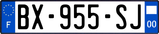 BX-955-SJ