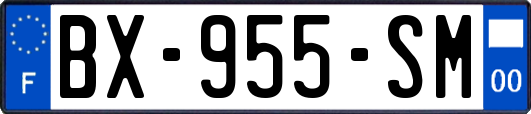 BX-955-SM