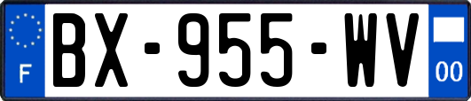 BX-955-WV