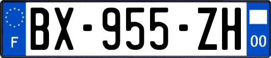 BX-955-ZH