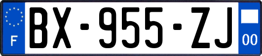 BX-955-ZJ