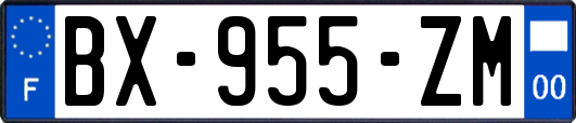 BX-955-ZM