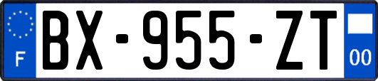 BX-955-ZT