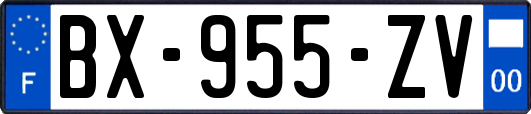 BX-955-ZV