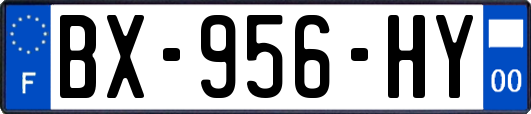 BX-956-HY