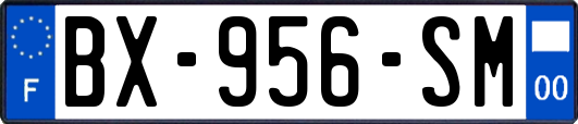 BX-956-SM