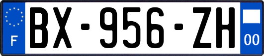 BX-956-ZH