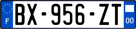 BX-956-ZT