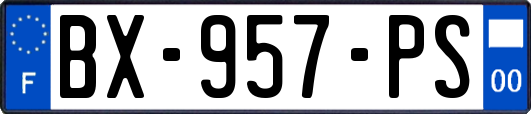 BX-957-PS