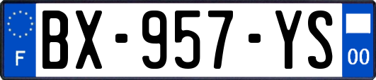 BX-957-YS