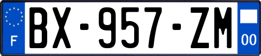 BX-957-ZM