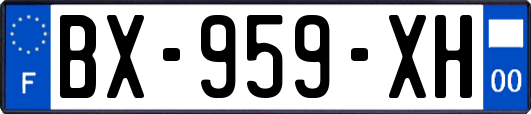 BX-959-XH