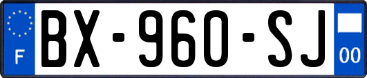 BX-960-SJ