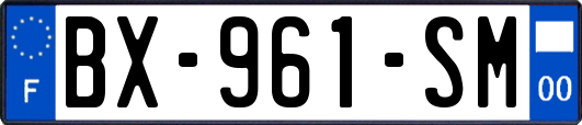 BX-961-SM