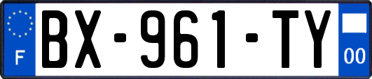 BX-961-TY