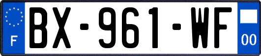 BX-961-WF