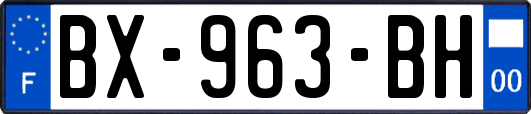 BX-963-BH