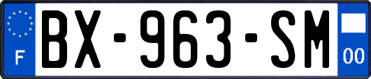 BX-963-SM