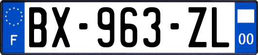 BX-963-ZL