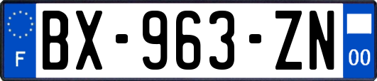 BX-963-ZN