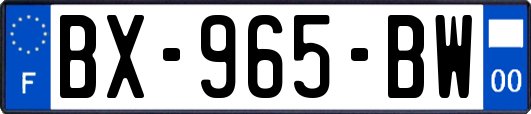 BX-965-BW