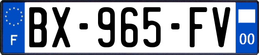 BX-965-FV