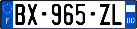 BX-965-ZL