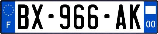 BX-966-AK