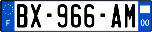 BX-966-AM