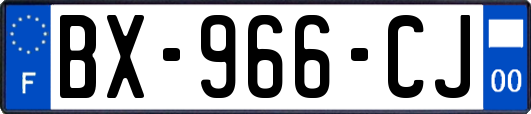 BX-966-CJ