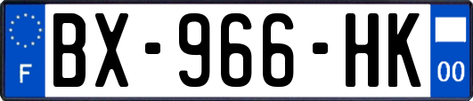 BX-966-HK