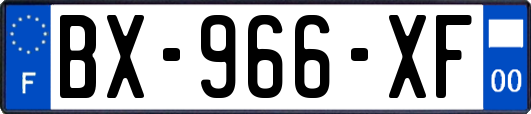 BX-966-XF