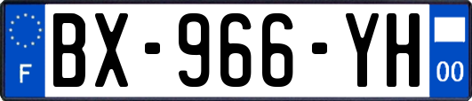 BX-966-YH