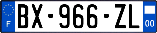 BX-966-ZL