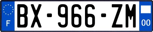 BX-966-ZM