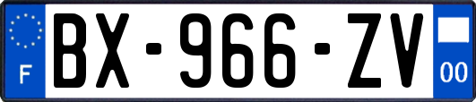 BX-966-ZV