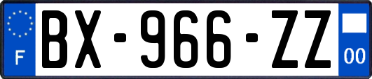 BX-966-ZZ