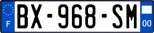 BX-968-SM