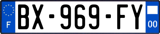 BX-969-FY