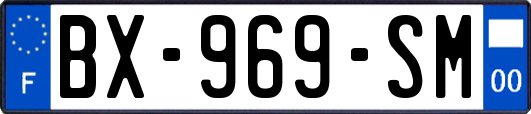 BX-969-SM