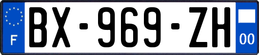 BX-969-ZH