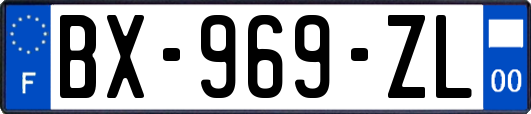 BX-969-ZL