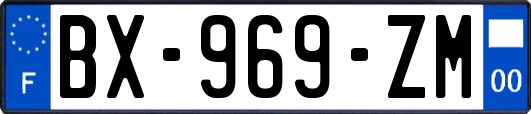 BX-969-ZM