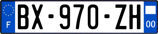 BX-970-ZH