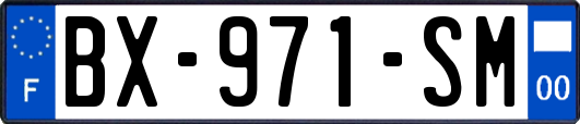 BX-971-SM