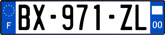 BX-971-ZL