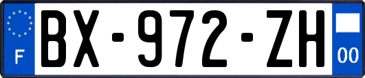 BX-972-ZH