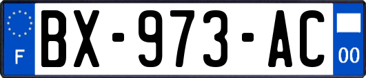 BX-973-AC