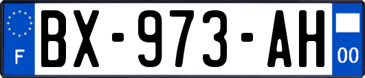 BX-973-AH