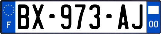 BX-973-AJ